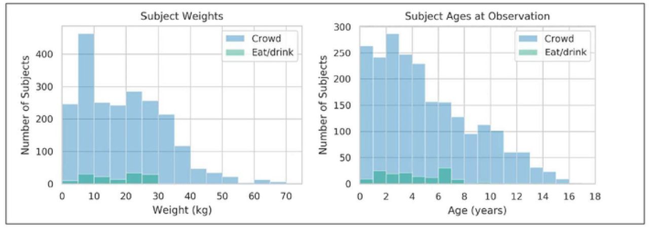 Weight and age distribution for the crowd and eat/drink datasets.Due to its more heterogenous population, the crowd dataset had much greater variability than the eat/drink dataset.
