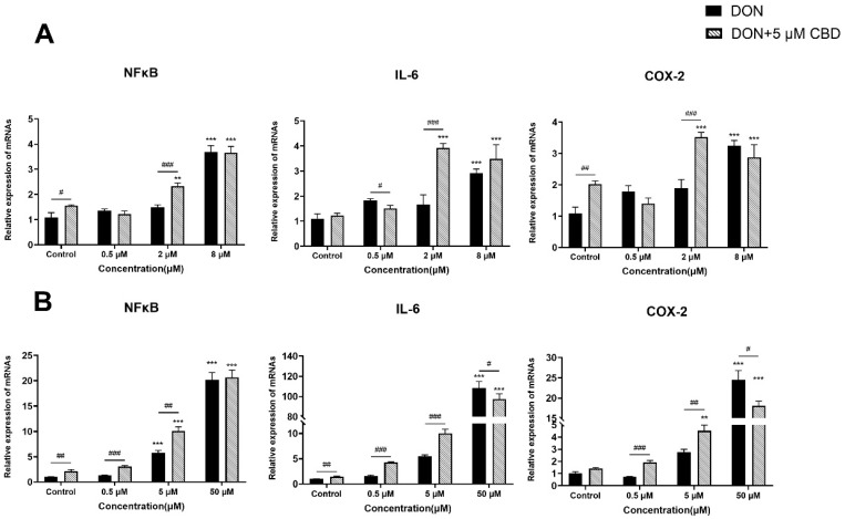 Effects of CBD on DON-induced pro-inflammatory gene expression in growing and differentiated IPEC-J2 cells. (A) Relative mRNA expression levels of NFκB, IL-6, and COX-2 in growing IPEC-J2 cells treated with DON (0.5, 2, and 8 μM) alone or pre-treated with 5 μM CBD. (B) Relative mRNA expression levels of NFκB, IL-6, and COX-2 in differentiated IPEC-J2 cells treated with DON (0.5, 5, and 50 μM) alone or pre-treated with 5 μM CBD. Data are presented as mean ± SEM (n = 3). Statistical significance: ** p < 0.01, *** p < 0.001 compared to the control in the same treatment; # p < 0.05, ## p < 0.01, ### p < 0.001 between different treatments at the same DON concentration.