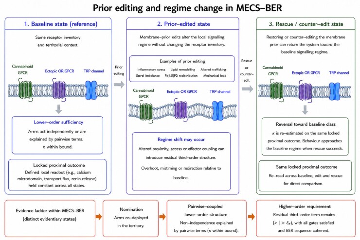 State-transition schematic showing baseline, membrane-prior-edited and rescue/counter-edit states in MECS-BER. The figure shows how prior editing can move a local signalling regime between lower-order sufficiency, pairwise-coupled lower-order structure and higher-order requirement, while emphasising that slingshot-like trajectory is descriptive and does not replace gates, κ estimation or rescue-sensitive reversal.