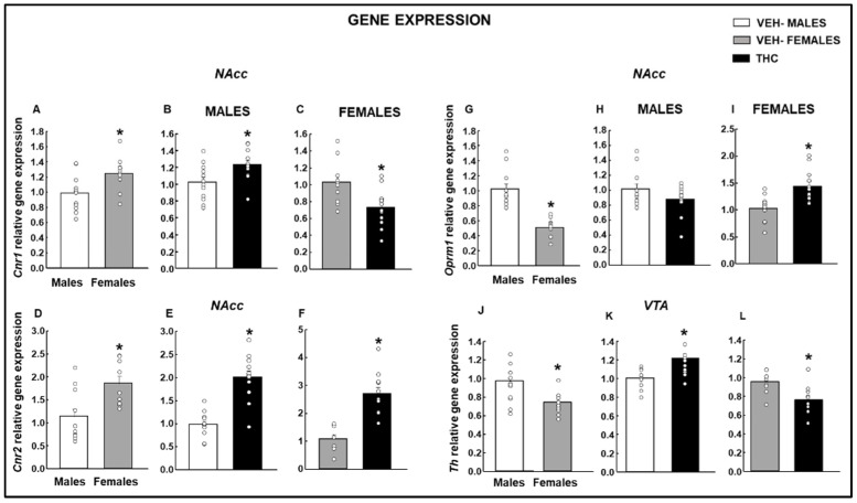 Analyses of relative gene expression by qPCR in male and female mice exposed to dronabinol (THC) or its vehicle (VEH) during gestation and lactation were evaluated in the OEA paradigm. Gene expression of Cnr1 (A–C), Cnr2 (D–F), and Oprm1 (G–I) in the NAcc, and Th (J–L) in the VTA were evaluated. * p < 0.05, VEH-treated female vs. male or THC- vs. VEH-treated groups.