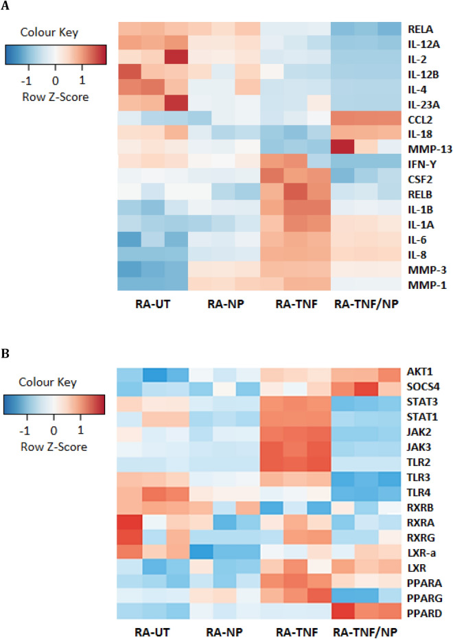 Heat map of differential expressed genes prominent in arthritis progression in RA-FLS cells. Groups included untreated RA-FLS cells (RA-UT), TNF-α stimulated cells (RA-TNF), NP and TNF-α stimulated cells (RA-TNF/NP), and NP treated cells (RA-NP). The normalized RNA-seq data is in log2 scale, where red is highly expressed genes and blue is low expression. To be included in the heat map, genes were required to have at least 1000 counts (reads), totalled over all samples, where the standard deviation of log2 expression differences had to exceed two. (A) Heat map of DE candidate genes prominent in arthritis progression in RA-FLS cells. The heatmap highlight anti-inflammatory effects of NP in TNF-α induced pro-inflammatory cytokine expression. Abbreviations: NF-κβ subunits (RELB, RELA); Interferon, (IL-(12A, 12, 12B, 4, 23A, 18, 1B, 1A, 6, 8)); Matrix metalloproteinases (MMP-[1, 3, 13]); chemokine ligand 2 (CCL2); colony-stimulating factor 2 (CSF2). (B) Heat map of DE candidate signalling genes. The heatmap highlight shift in gene expression following NP treatment. Abbreviations: Serine/threonine-protein kinase (AKT1); Suppressor of cytokine signalling 4 (SOCS4); Janus kinase (JAK-[2, 3]); Signal transducers and activators of transcription (STAT-[1, 3]); Toll like receptor (TLR-[2–4]); Liver X receptor (LXR-[α]); Retinoid X receptor (RXR); Peroxisome proliferator- activated receptors (PPAR [A,G,D]-[α, ɣ, δ]).