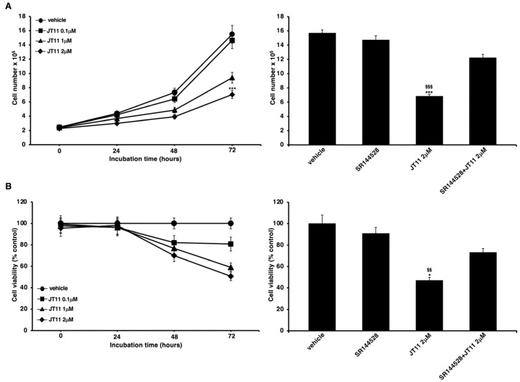 JT11 regulates cell viability and growth through a CB2R-dependent mechanism in Jurkat cells. ((A), left panel) Jurkat cells were treated with 0.1, 1 or 2 μM dose of JT11 for 24, 48 and 72 h. The number of viable cells was determined by Trypan Blue assay. Data are reported as the mean ± SD among ten independent experiments. *** p < 0.0001 vs. vehicle; ((A), right panel) To verify that JT11 acted via CB2R, Jurkat cells were pretreated with CB2R selective antagonist, SR144528 (1 μM), exposed to JT11 for 72 h and then analyzed for cell viability. *** p < 0.0001 vs. vehicle; §§§ p < 0.0001 vs. SR144528 + JT11; ((B), left panel) Cell proliferation was measured by 3-(4,5-dimethylthiazol-2-yl)-2,5-diphenyltetrazolium bromide (MTT) assay in Jurkat cells. The results represent the mean ± SD of five independent experiments performed in triplicate and represent cell viability as a percentage of untreated control cells. * p < 0.01 vs. vehicle; ((B), right panel) Jurkat cells were pretreated with selective CB2R antagonist (SR144528, 1 μM), exposed to JT11 for 72 h and then analyzed for cell proliferation. * p < 0.01 vs. vehicle; §§ p < 0.001 vs. SR144528 + JT11.