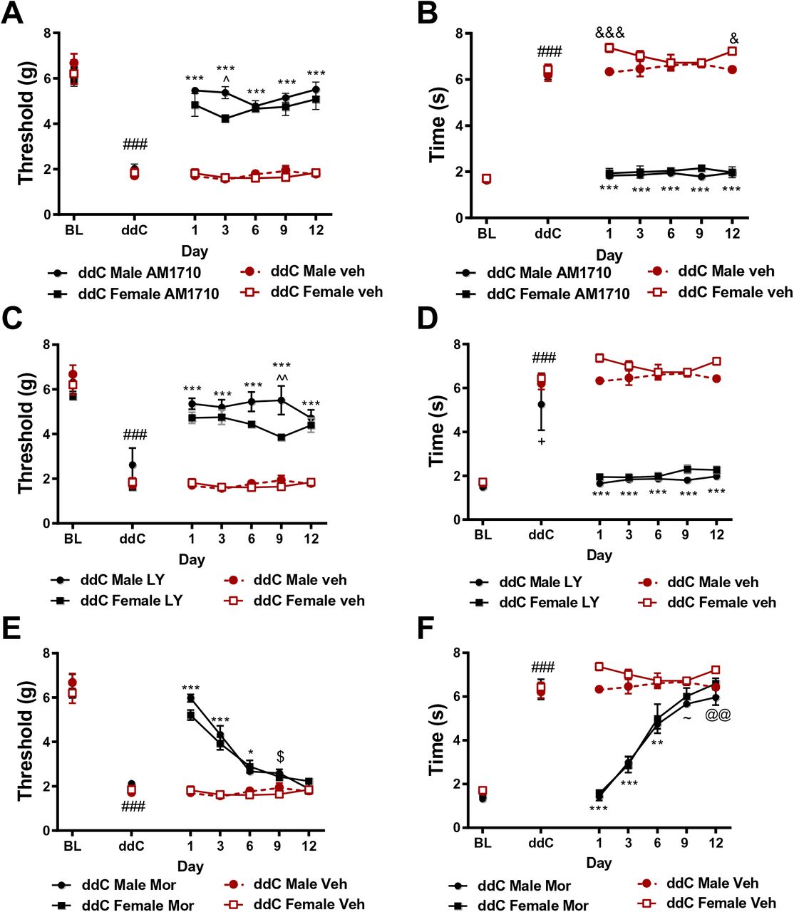 CB2 agonists display sustained antinociceptive efficacy with repeated dosing whereas opioid analgesics do not.AM1710 (A, B) and LY2828360 (C, D) produce sustained anti-allodynic efficacy following chronic administration and at comparable levels in male and female mice. Tolerance develops to the pain relieving effects of morphine (E, F). Main effects of ddC for AM1710 (mechanical: F6,72 = 124.6, p<0.0001; cold: (F6,72 = 247.3, p<0.0001), LY2828360 (mechanical: F6,72 = 86.43, p<0.0001; cold: F6,72 =89.94, p<0.0001) and morphine (mechanical: F6,72 = 274.6, p<0.0001; cold: F6,72 = 215.9, p<0.0001); treatment for AM1710 (mechanical: F3,12 = 108, p<0.0001; cold: F3,12 = 504.6, p<0.0001), LY2828360 (mechanical: F3,12 = 61.48, p<0.0001; cold: F3,12 = 407.6, p<0.0001) and morphine (mechanical: F3,12 =33.51, p<0.0001; cold: F3,12 = 61, p<0.0001); and ddC x treatment interactions for AM1710 (mechanical: F18,72 = 15.69, p<0.0001; cold: F18,72 = 62.47, p<0.0001), LY2828360 (mechanical: F18,72 = 11.13, p<0.0001; cold: F18,72 = 21.65, p<0.0001) and morphine (mechanical: F18,72 = 18,36, p<0.0001; cold: (F18,72 = 24.04, p<0.0001) were observed. ###p<0.0001 vs. baseline, ***p<0.0001 vs. veh-treated male and female, &&&p<0.0001, &p<0.05 female veh vs. male veh, ^^p<0.01 male LY2828360 vs. female LY2828360, $p<0.05 male Mor vs. female veh, ∼p<0.05 male Mor vs. veh, @@p<0.01 male Mor vs. female veh. Two-way ANOVA, Tukey multiple comparisons test post-hoc. (N=4 per group).