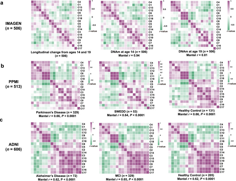 Robustness and lifespan generalizability of the DNAm clusters.Similarity matrices (Pearson r) summarising inter-cluster DNAm relationships across cohorts. a IMAGEN, similarity matrices derived from ΔDNAm, DNAm14, and DNAm19 demonstrate stable cluster structure across time. b Replication in PPMI and (c) ADNI: similarity matrices computed in each cohort show significant correspondence to the IMAGEN reference pattern (Mantel correlations; 10,000 permutations; Bonferroni-corrected one-tailed P-values). SWEDD “scans without evidence of dopaminergic deficit”, MCI mild cognitive impairment.