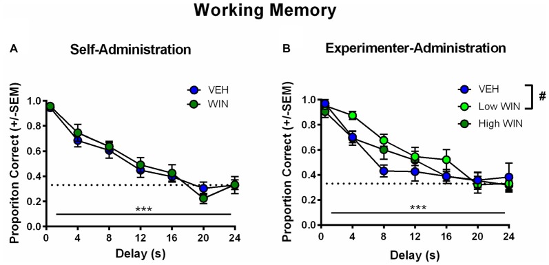 Effect of adolescent WIN exposure on adult working memory. (A) Adult working memory performance in rats that self-administered WIN or VEH in adolescence. All working memory training and testing was conducted under drug-free conditions. As delay increased, performance decreased, ***p < 0.001. Adolescent WIN self-administration had no significant effect on working memory performance. (B) Adult working memory performance in rats that were exposed to WIN in adolescence via experimenter-administration (IP injection) of a low dose (0.2 mg/kg/day) or a high dose (1.2 mg/kg/day), or its vehicle. In all rats, as delay increased, performance decreased, ***p < 0.001. The low dose of WIN produced a strong trend toward improved working memory performance relative to vehicle, and separate analyses of delays from 4 s to 16 s, indicated a significant improvement in performance, #p = 0.05.