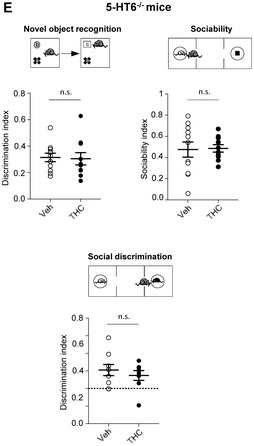 Figure 1E. Original.