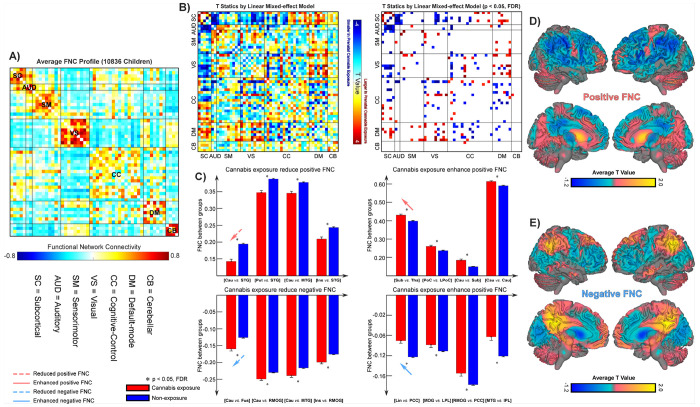 Prenatal cannabis exposure (PCE) and functional brain alterations during late childhood.A) Functional network connectivity (FNC) was computed using Pearson correlation coefficients between network time courses. The group-averaged FNC matrix demonstrates clear modular organization within and between canonical functional domains, confirming the robustness of the NeuroMark framework. B) Associations between PCE and FNC are assessed using linear mixed-effects models. The corresponding t-values are displayed, with significant connections surviving false discovery rate (FDR) correction (p < 0.05) highlighted. C) FNC pairs exhibiting the most pronounced increases and decreases in positive and negative connectivity are presented, illustrating the directionality and magnitude of network-level alterations associated with PCE. D) Mean t-values were computed across positive and negative FNC pairs for each network, revealing global patterns of increased and decreased connectivity across functional systems in children prenatally exposed to cannabis.