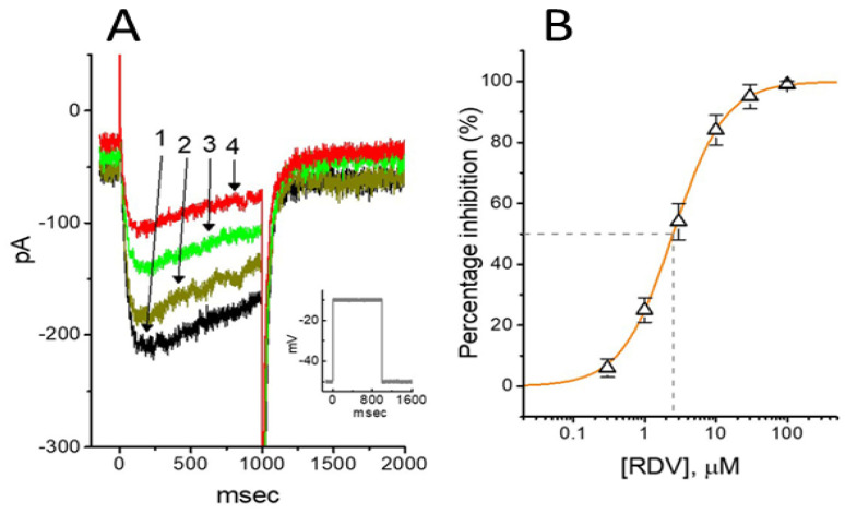 Effect of RDV on IK(M) in GH3 cells. The experiments were conducted in cells immersed in high-K+, Ca2+-free solution, and the pipette used was filled with K+-containing solution. (A) Reprsentative IK(M) traces elicited by 1 − s step depolarization from −50 to −10 mV (indicated in inset). The current trace labeled 1 is the control, and that labeled 2, 3, or 4 was obtained after the addition of 0.3 μM RDV, 1 μM RDV, or 3 μM RDV, respectively. (B) Concentration-dependent inhibition of RDV on IK(M) amplitude in GH3 cells (mean ± SEM; n = 9). Current amplitude was measured at the end of the 1 − s depolarizing pulse. The continuous line was fitted by a Hill function. The IC50 value (as indicated in the vertical dashed line) needed for an RDV-induced decrease in IK(M) was 2.5 μM. This figure is adapted from Chang et al. [101] and published under the terms and conditions of the Creative Commons Attribution (CC BY) license.
