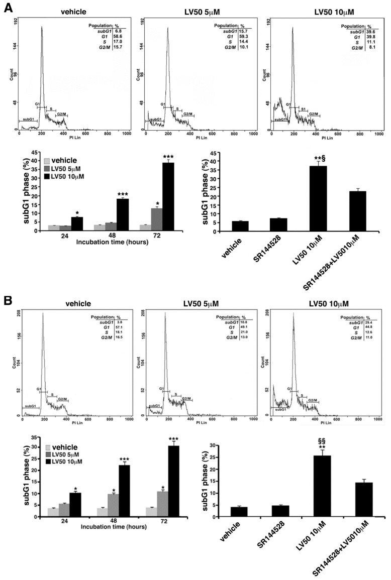 Effect of LV50 on nuclear fragmentation. Jurkat, CEM, and PBL cells incubated with 5 μM or 10 μM LV50 for 72 h were analyzed by flow cytometric analysis after staining with propidium iodide. Histograms show cell cycle profiles and hypodiploid sub-G1 peak indicates typical DNA fragmentation that defines apoptosis. The percentage of cells in each phase of cell cycle is summarized below the histograms. Vehicle-treated or cells incubated with 5 μM or 10 μM LV50 were analyzed at three incubation times (24, 48, and 72 h). (A, left panel) Jurkat cells, results represent mean ± SD of three independent experiments. Statistical analysis indicated: * p < 0.05 versus vehicle; *** p < 0.001 versus vehicle. (A, right panel) In Jurkat cells, Propidium Iodide staining was performed in the presence or absence of the selective CB2R antagonist (1 μM). The results represent mean ± SD of three independent experiments. Statistical analysis indicated: ** p < 0.01 versus vehicle; § p < 0.05 versus pretreated with SR144528. (B, left panel) CEM cell, results represent mean ± SD of three independent experiments. Statistical analysis indicated: * p < 0.05 versus vehicle; *** p < 0.001 versus vehicle. (B, right panel) In CEM cells, propidium iodide staining was performed in the presence or absence of the selective CB2R antagonist (1 μM). The results represent mean ± SD of three independent experiments. Statistical analysis indicated: ** p < 0.01 versus vehicle; §§ p < 0.01 versus pretreated with SR144528. (C) PBL cells, results represent mean ± SD of three independent experiments. Statistical analysis indicated: LV50 10 μM versus vehicle NS (not significant).