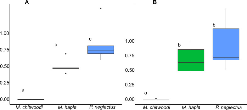 Reproduction factor (final population density/initial population density) of Meloidogyne chitwoodi, M. hapla, and Pratylenchus neglectus on hemp ‘Alpha Explorer’ under greenhouse conditions in two trials (A and B). Different letters above bars indicate a statistical difference according to the nonparametric tests Kruskal-Wallis and Mann-Whitney
