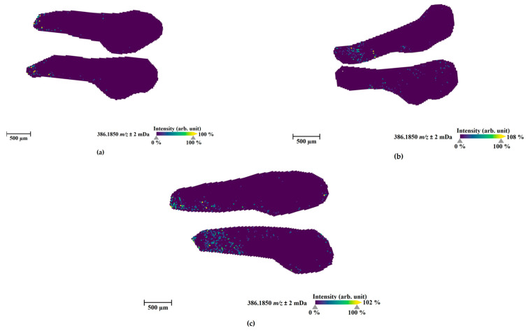 MALDI-MS images of the parent compound (4F-MDMB-BINACA, sodium adduct, m/z 386.1850) in zebrafish larvae at 4 days post-fertilization (dpf) exposed for 1 h at 28 °C through direct administration routes via microinjection into the caudal vein (a), heart ventricle (b), and hindbrain (c). The presented sections originate from one representative larva per condition. The images were generated by preparing a colormap from blue (no detection) to yellow (high local concentration), and images were further processed in 96 dpi resolution with 24 bit color under no denoising state. Each panel shows two different slices of the same specimen.