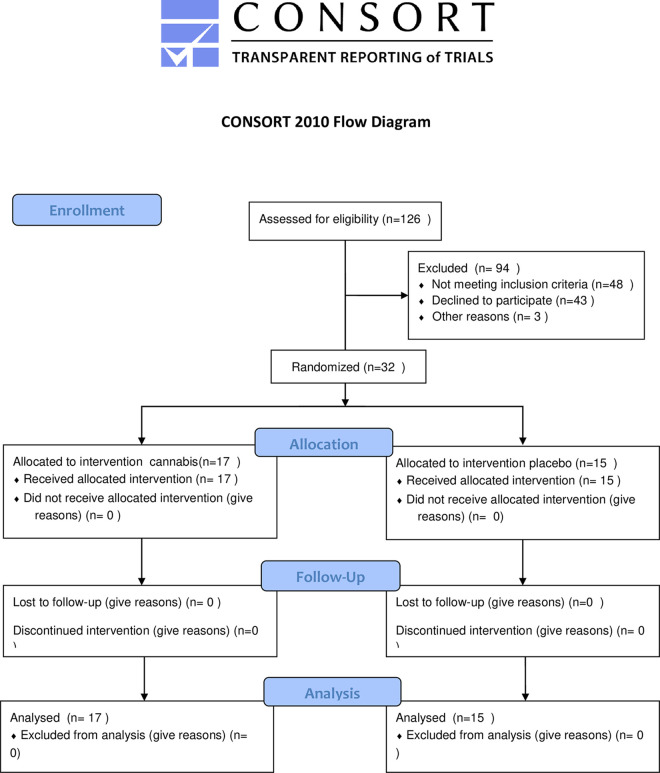 CONSORT 2010 flow diagram.