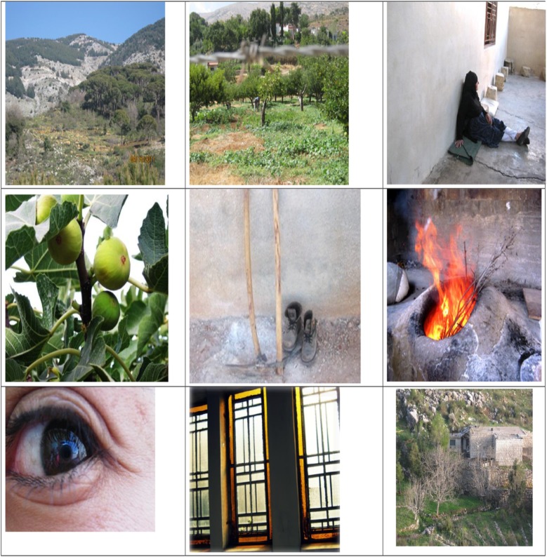 Sample photographs taken by Lebanese rural youth to express their perception of nature.