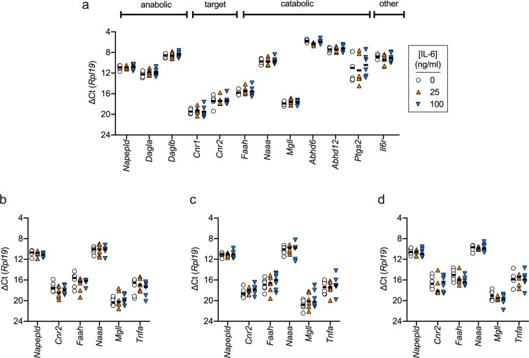 Effect of IL-6 treatment of AT-1 cells upon the mRNA expression levels of genes coding for components of the NAE/MAG system. AT1 cells were treated for either 3 h (Panels a-c) or 24 h (Panel d) with the concentrations of IL-6 shown prior to determination of mRNA levels. The treatment conditions were serum-free Krebs-Ringer buffer (Panel a), serum-free medium (Panel b) and medium containing 1% FBS (Panels c and d). Individual values are shown (N = 5-6) with solid lines representing the mean ∆Ct values with Rpl19 as the reference gene. ANOVA P values for mixed effects models (REML) not assuming sphericity were determined for each of the genes. In all cases except for Abhd6 in panel A, the P values for the effect of treatment were not significant. For Abhd6, the P value was 0.014, and Tukey’s multiple comparisons test gave significant differences between the mean for 25 ng/ml IL-6 and the other two treatments. However, the P value does not take into account multiple comparisons (there are 29 P values for the data in the figure), and the critical value of P assuming a 5% false discovery rate was 0.0017.