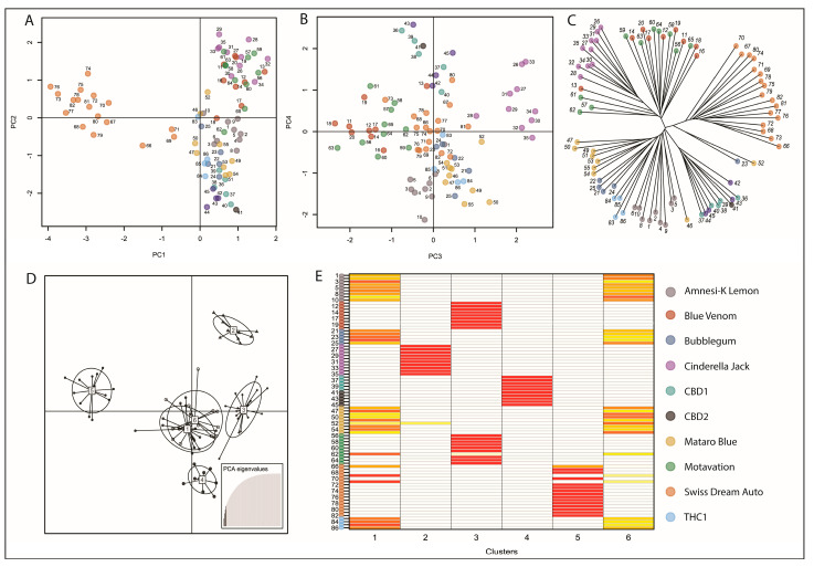 PCA and DAPC of variants found in genes identified to encode catalytic enzymes of the cannabinoid biosynthesis pathway. (A) Plot of the first 2 PC vectors; PC1 and PC2 (B) Plot of PC vectors, PC3 and PC4 (C) Unrooted phylogenetic tree demonstrated 6 discreet clusters based on PCA, which are also observed in the (D) DAPC plot. (E) Clusters 1 and 6 display extensive overlap, which is similarly observed in the assignplot where red shaded rectangles indicate high probability of correct assignment to each cluster, with the shading color spectrum passing through orange and yellow to white, representing a gradual reduction in probability. Color code indicates dot color and variety relationship throughout.