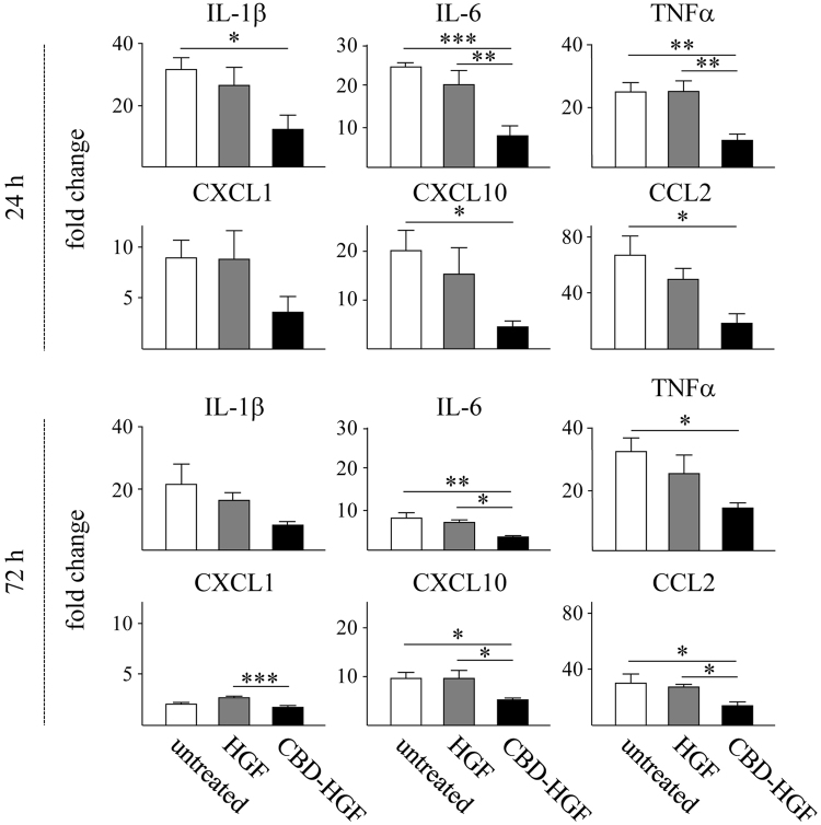 Cytokine and chemokine mRNA expression of after spinal cord compression injury. Mice subjected to a compression injury were treated with a single administration of CBD-HGF or HGF. Untreated mice were used as controls (4 mice each per 3 groups at each time point). Cytokine and chemokine mRNA expression at the injury sites was quantitated by qRT-PCR at 24 and 72 h after injury. The expression levels of each mRNA were normalised to Gapdh and the relative expression levels were compared with normal spinal cords. *p < 0.05, **p < 0.01, ***p < 0.01.