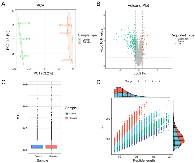 Analysis of differentially expressed proteins (DEPs) with TMT-based quantitative proteomics. (A) The degree of aggregation between the groups based on PCA. (B) Volcano plot. Red bubbles represent upregulated proteins and blue bubbles represent downregulated proteins. (C) Relative Standard Deviation between the groups. (D) The length distribution of the peptides.