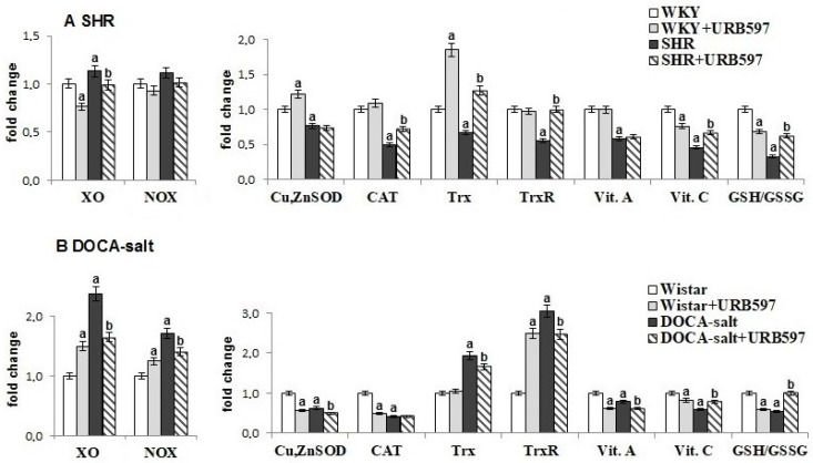The activity and level of antioxidant parameters in the heart of hypertensive rats (A) spontaneous hypertension (SHR) and (B) 11-deoxycorticosterone acetate (DOCA)-salt, and rats after administration of [3-(3-carbamoylphenyl)phenyl] N-cyclohexylcarbamate (URB597). Data points represent mean ± SD; n = 6; a significantly different from Wistar Kyoto (WKY) rats (p < 0.05); b denotes significantly different from SHR (p < 0.05); c denotes significantly different from Wistar rats (p < 0.05); and d denotes significantly different from DOCA-salt rats (p < 0.05).