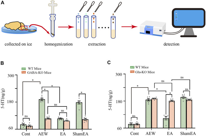 Comparison of the effects of EA on 5-HT in wild-type mice and CB1-KO mice. (A) Schematic showing the measurement of 5-HT. (B) Summary data show the effect of EA on the 5-HT concentration in the medulla of wild type mice and GABA -CB1−/− mice. (n = 10 mice in CB1-KO mice, n = 6 mice in wild-type mice). (C) Summary data show the effect of EA on the 5-HT concentration in the medulla of wild-type mice and glutamatergic -CB1−/− mice. Data are expressed as means ± SEM (n = 10 mice in CB1-KO mice, n = 6 mice in wild type mice). *p < 0.05.