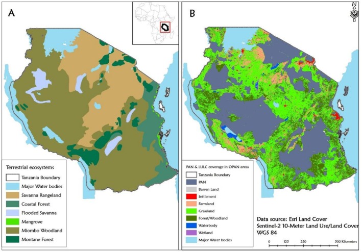 Spatial distribution of terrestrial ecosystems and LULC in OPAN areas. (Panel A) Major terrestrial ecosystem types in Tanzania and (Panel B) LULC types within OPAN areas.