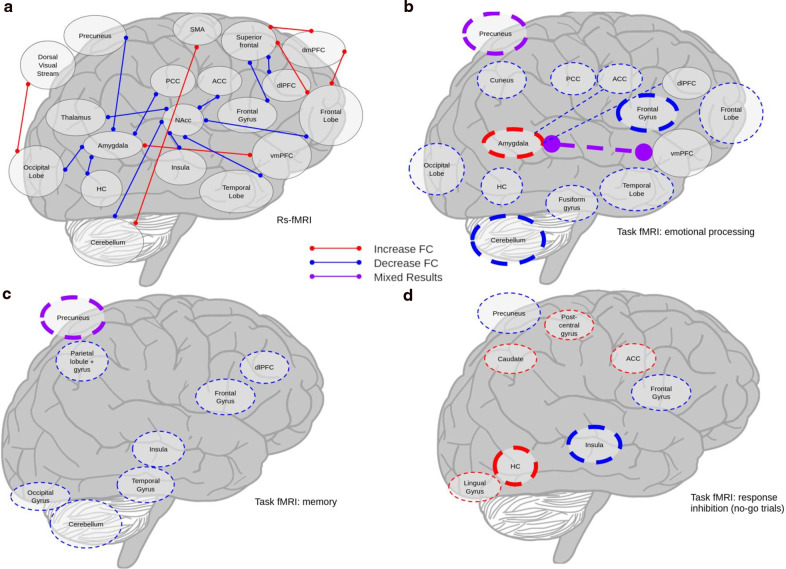 Visualization of main fMRI results across studies.a rs fMRI results, b er fMRI results, emotional processing tasks, c er fMRI results, memory tasks, d er fMRI results, no-go trials from response inhibition. Thin lines indicate results from one study. Thick lines indicate results from two. Solid lines indicate rs fMRI, dashed indicate resting state. Colored circles demarcate “activity” lines indicate “connectivity”.