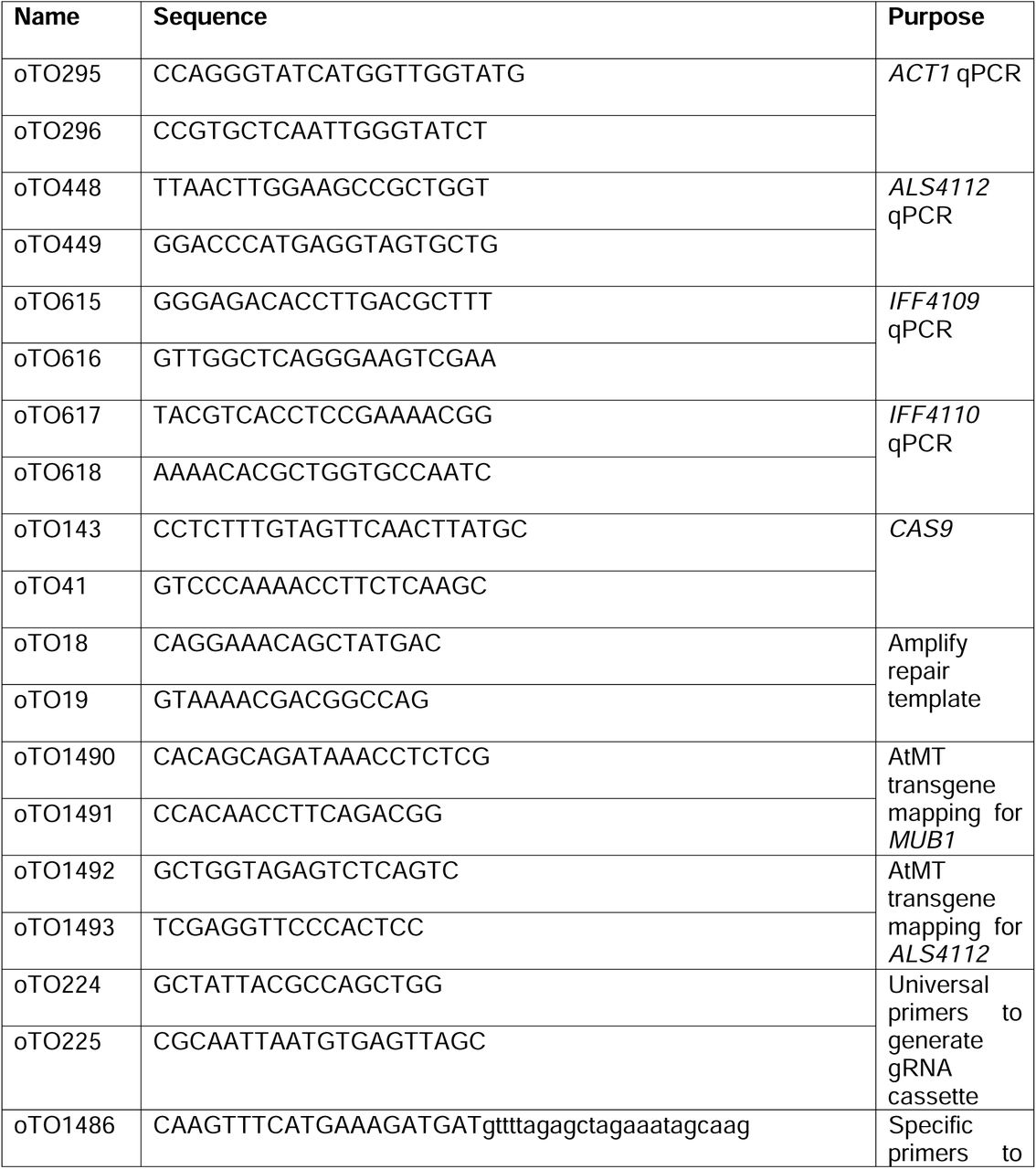 Oligos used in this study