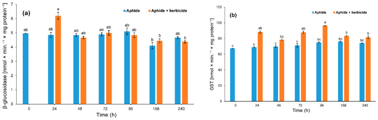 Activity change of β-glucosidase (a) and s-glutathione transferase (GST) (b) in the tissues of Phorodon cannabis after the application of Pantera 040 EC graminicide to the hemp plant (mean ± SE; control = aphids on the Cannabis sativa). Values not followed by the same letter are significantly different at the level of p < 0.05 (Tukey multiple range test).