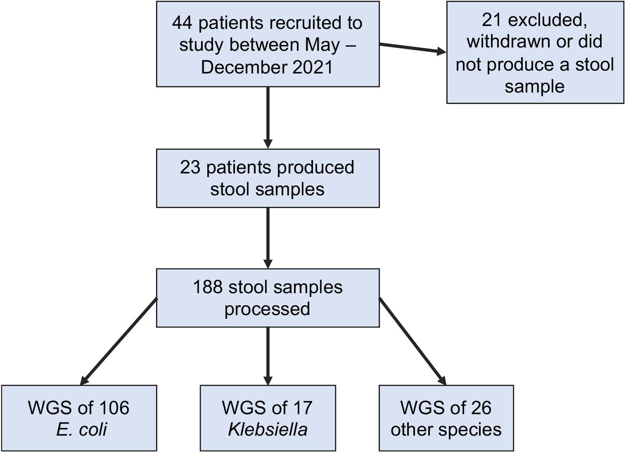 Workflow of the study showing the number of patients recruited and the number of isolates whole genome sequenced.