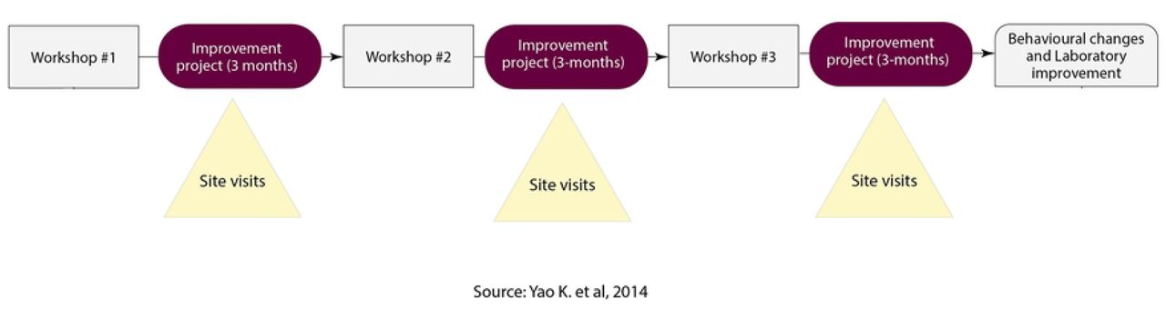 The generic SLMTA implementation approach