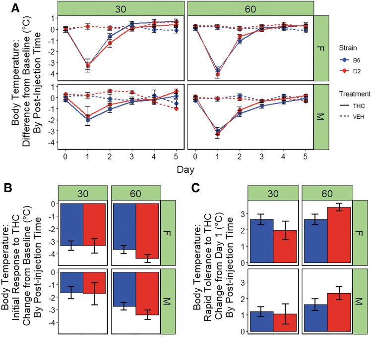 Hypothermic response to THC. (A) Body temperature (°C) is shown for B6 and D2 females (top panel) and males (bottom panel) at three time points (0, 30, or 60 min) post-injection of THC (10 mg/kg) or VEH. Trait data for every individual have been transformed relative to baseline (time 0) by subtracting 30- and 60-min trait values for each day by the trait values for time 0 and averaging data by strain, sex, treatment, day, and post-injection time. Data represented as mean±SEM. Profound hyperthermia is evident in both strains at 30 min post-injection on day 1 and is more pronounced in females. Peak initial response to THC occurs at 60 min post-injection. Rapid tolerance upon second exposure results in a substantial increase in body temperature toward baseline in both strains and sexes. Desensitization is complete in both strains and sexed by the third exposure to THC. (B) Initial response to THC is shown as the difference between day 1 and 0 (baseline) for the THC treatment group. Females demonstrate significantly greater hypothermia after a single exposure to THC at 30 and 60 min post-injection relative to males. At the 60-min time point only, a significant main effect of strain was observed, in which the D2 strain exhibits greater sensitivity to the hypothermic effects of THC relative to the B6 strain. There were no significant interaction effects observed between strain and sex. (C) Rapid desensitization to THC is shown as the difference between day 2 and 1 (THC treatment group only). Desensitization to the hypothermic effects of THC is evident for both strains, sexes, and post-injection times by the third day of treatment. Females demonstrate significantly greater rapid tolerance to the hypothermic effects of THC at all time points. At the 60-min time point, the D2 strain exhibits slightly greater rapid tolerance relative to B6.