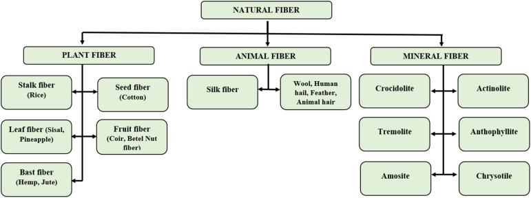 Type of natural fiber.
