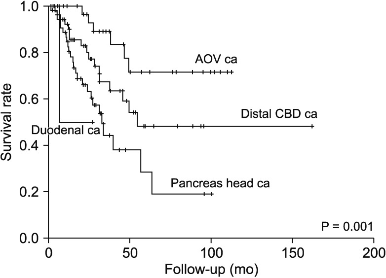 Survival rates of 160 periampullary cancers according to histologic types. AOV, ampulla of Vater; CBD, common bile duct.