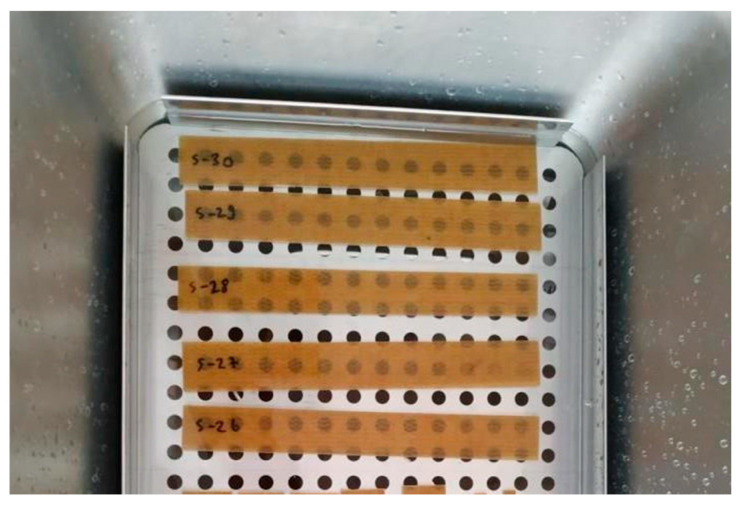 Water absorption test of the composites.