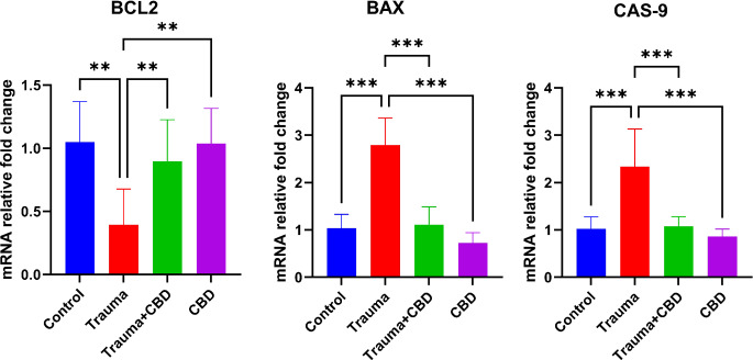 mRNA relative fold change graph of genes. The values are presented as the means ± SD. Statistical analysis was performed with one-way ANOVA and post hoc LSD test. Bcl-2: B-cell lymphoma 2, Bax: Bcl-2 associated X protein, Cas-9: Caspase 9, CBD: Cannabidiol. “**” represents p < 0.01, “***” represents p < 0.001