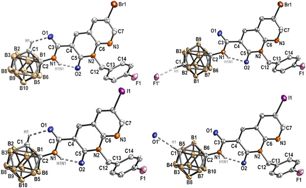Molecular structure and labeling scheme of 2 o (top left), 2 p (top right), 3 o (bottom left), and 3 m (bottom right). Hydrogen atoms, except H atoms involved in hydrogen bonding, were omitted for clarity. Displacement ellipsoids are drawn at the 50% probability level.