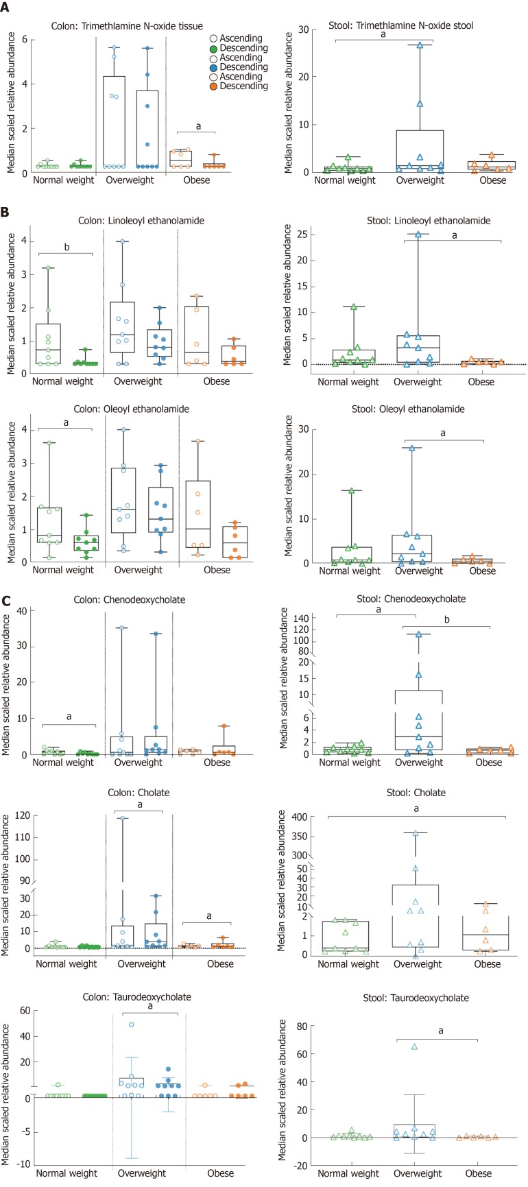 Fold-differences of colon and stool metabolites according to body mass index. Metabolites were A: Phospholipid; Trimethylamine N-oxide; B: Endocannabinoids; linoleoyl ethanolamide, and oleoyl ethanolamide; C: Primary and secondary bile acids; chenodeoxycholate, cholate, and taurodeoxycholate. Left side panel colon, right side panel stool. Open circles represent ascending colon, closed circles represent descending colon, triangles represent stool (aP < 0.05, bP < 0.01).