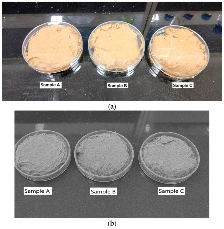 (a) Sports gels with different hemp seed concentrations. (b) SEM images of sports gels with different hemp seed concentrations (by Vishal Verma, 2024).