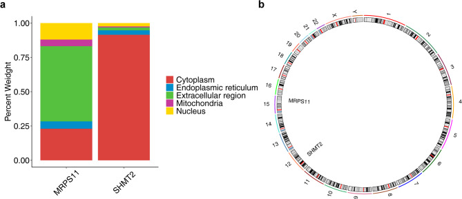 Subcellular localization and chromosomal localization analysis of biomarkers. (a) Subcellular localization. (b) Gene mapping