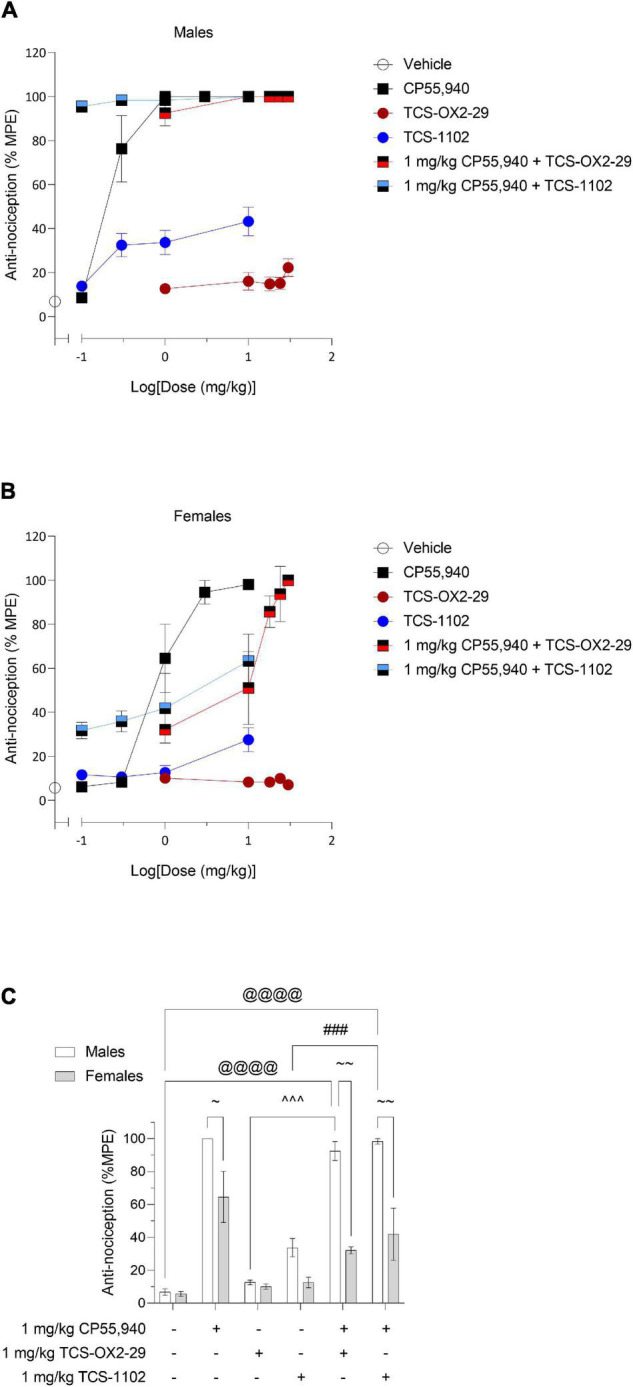 Acute nociceptive effects as a result of cannabinoid and orexin drug treatments. Male (A) and female (B) C57BL/6 mice aged 6–12 weeks were i.p. administered one of the following dose ranges: CP55,940 (0.1–10 mg/kg), TCS-OX2-29 (1–30 mg/kg), TCS-1102 (0.1–10 mg/kg), 1 mg/kg CP55,940 + TCS-OX2-29 (1–30 mg/kg), or 1 mg/kg CP55,940 + TCS-1102 (0.1–10 mg/kg). 20 min post-injections, all mice underwent the tail flick test to assess anti-thermal nociception. (C) Anti–nociceptive responses were compared within (sex) and between (drugs) the following experimental groups: 1 mg/kg CP55,940, 1 mg/kg TCS-OX2-29, 1 mg/kg TCS-1102, 1 mg/kg CP55,940 + 1 mg/kg TCS-OX2-29, or 1 mg/kg CP55,940 + 1 mg/kg TCS-1102. All anti-nociceptive data are expressed as %MPE (MPE = 20 s), and as means ± SEM. n = 6 for all treatment groups. Significance was calculated using a two-way ANOVA followed by Tukey’s post hoc analyses. @@@p < 0.001 compared to Vehicle within sexes. ^^^p < 0.001 compared between 1 mg/kg TCS-OX2-29 and 1 mg/kg CP55,940 + 1 mg/kg TCS-OX2-29. ###p < 0.001 compared between 1 mg/kg TCS-1102 and 1 mg/kg CP55,940 + 1 mg/kg TCS-1102. ∼∼p < 0.01 compared between sexes, within treatment groups.