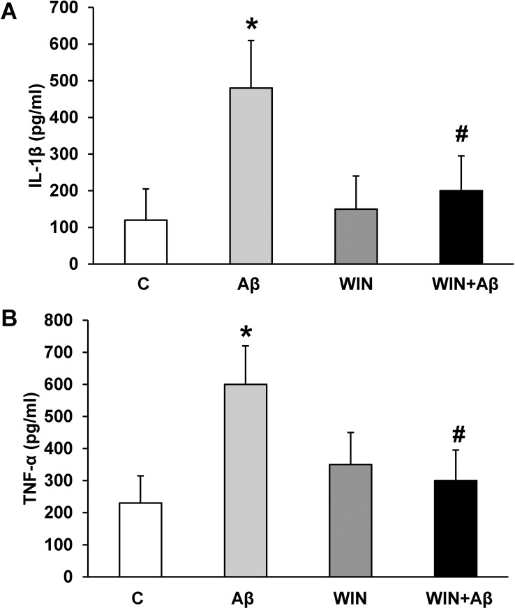 IL-1β and TNF-α secretion.WIN prevents the increase of IL-1β and TNF-α secretion caused by Aβ1–42 in astrocytes. Cells were incubated with 10 μM Aβ40–1 (control peptide, C), 10 μM Aβ1–42 (Aβ), 10 μM WIN + 10 μM control peptide (WIN) and 10 μM WIN + 10 μM Aβ1–42 (WIN + Aβ). Cell culture supernatants were harvested, and IL-1β (panel A) and TNF-α (panel B) secretion were determined by ELISA. Values are means ± SD of replicate experiments from 4 independent astrocytes cultures. *p<0.05 vs control astrocytes. #p<0.05 vs Aβ1–42 treated cells.