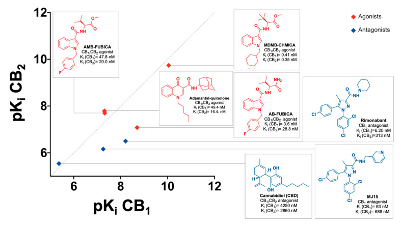 Chemical structures, selectivity (radioligand binding assays Ki), and functional activity (blue for antagonists and red for agonists) of the reference compounds used for CELT-335 validation in Tag-lite® competition binding assays.