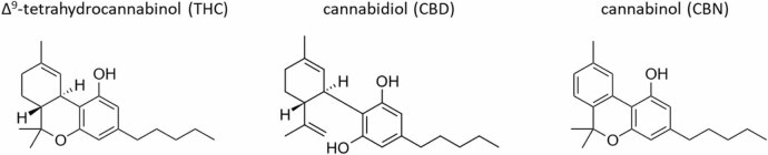 Chemical structures of the cannabinoids in this study.