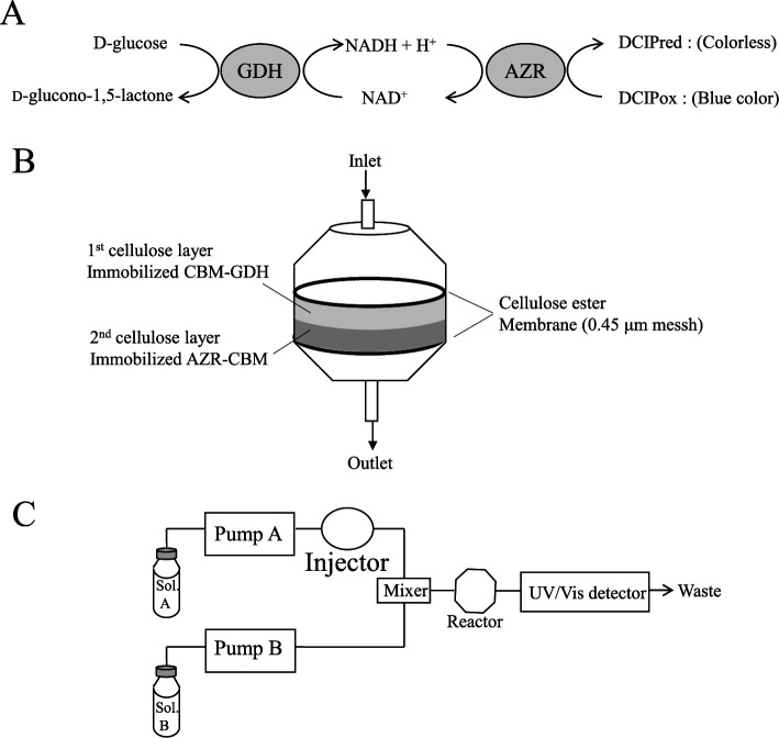 Schematic diagram of the reaction mechanism for the detection of glucose (A), reactor for flow injection analysis (B), and flow injection analysis system for the determination of glucose.