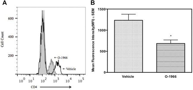 In vivo O-1966 treatment decreases CD4 expression following ex vivo stimulation. Donor C3HeB/FeJ flank skin was transplanted to the back of recipient C57BL/6J mice, sutured, and bandaged. Doses of O-1966 (5 mg/kg) or vehicle (0.03% ethanol and 0.03% cremophor in saline) were injected i.p. every other day from 1 h pre-op to 14 days post-op. On post-op day 14, animals were sacrificed and spleens were aseptically removed, restimulated with C3HeB/FeJ splenocytes and harvested at 48 h and analyzed by flow cytometry for CD4 expression. (A) Representative histogram of CD4 expression on CD3+ cells in cultures of splenocytes from skin graft recipient mice treated with O-1966 (gray filled) or vehicle (white filled). (B) Mean fluorescence intensity (MFI) of CD4 in CD3+ populations in cultures from O-1966 treated mice () or vehicle treated mice (). Data are representative of two experiments (A) or mean of two separate experiments (B). *p < 0.05 for O-1966 vs. vehicle by one-way ANOVA followed by Tukey’s multiple comparison test).