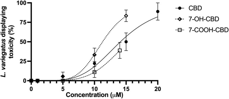 Toxicity of 24-hr exposure to cannabidiol (CBD) and CBD metabolites in Lumbriculus variegatus. Lumbriculus variegatus was exposed to CBD (0–20 µM), 7-hydroxy-cannabidiol (0–15 µM), or 7-carboxy-cannabidiol for 24 hr to observe signs of whole organism toxicity. After 24 hr of exposure, worms displaying decomposition, as determined by visible partial or complete tissue degeneration and whole-organism tissue pallor, were counted. Data are expressed as a percentage of L. variegatus displaying toxicity. Error bars represent the SEM, n = 6 with three worms per condition per replicate. 7-OH-CBD = 7-hydroxy-cannabidiol; 7-COOH-CBD = 7-carboxy-cannabidiol.