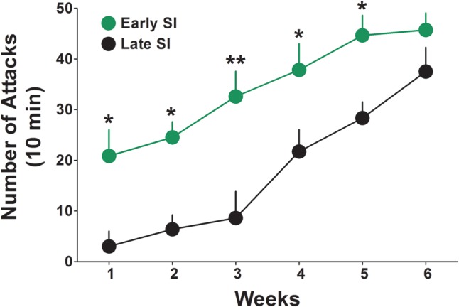 Onset of aggressive behavior in early and late adolescent SI mice. Representation of the development of the aggressive behavior in early (green) and late (black) adolescent SI mice from week 1 to 6 of social isolation. Early adolescent social isolation (started at day 21 of life, PND 21) induced a more severe development of aggression compared to late adolescent isolation (started at day 45 of life, PND 45). Data represent the mean ± SEM of 15 mice. ∗p < 0.05 and ∗∗p < 0.001, when compared with late adolescent SI mice at the same time point.