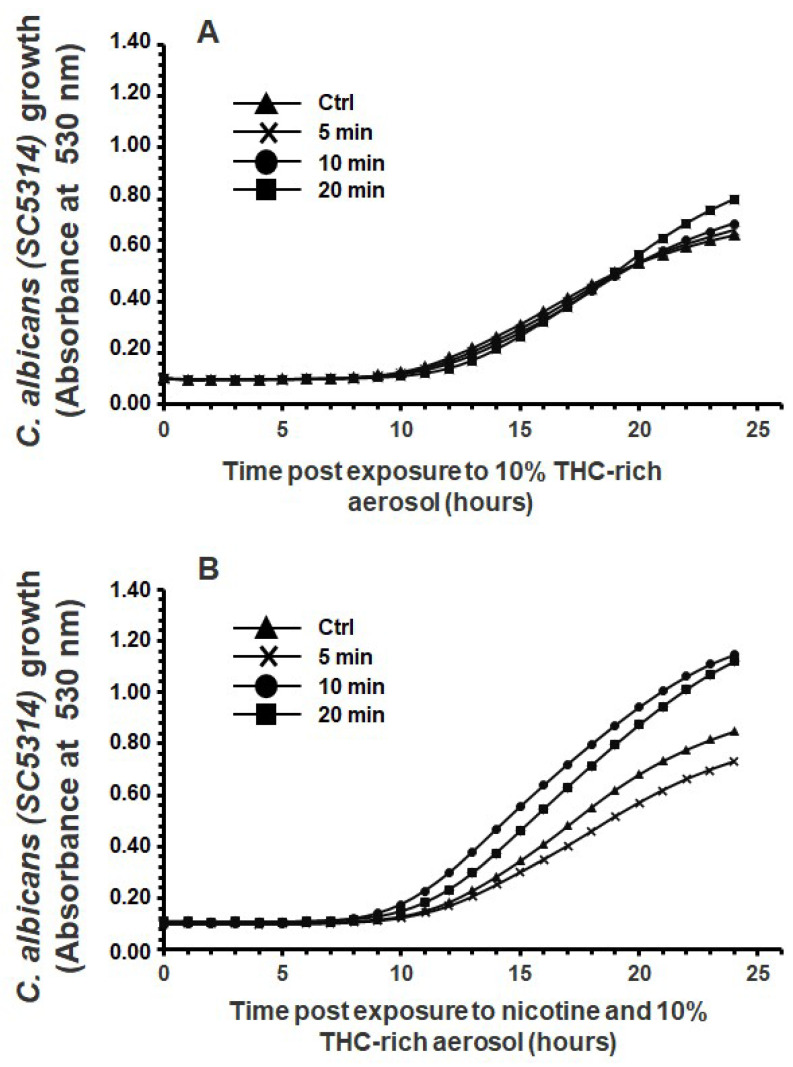 Exposure to e-cigarette aerosol with 10% tetrahydrocannabinol (THC) and (A) without or (B) with 12 mg/mL nicotine promoted the growth of Candida albicans. The cells were exposed twice a day to e-cigarette aerosol, and growth was evaluated by measuring turbidity at 530 nm using a spectrophotometer (n = 5).