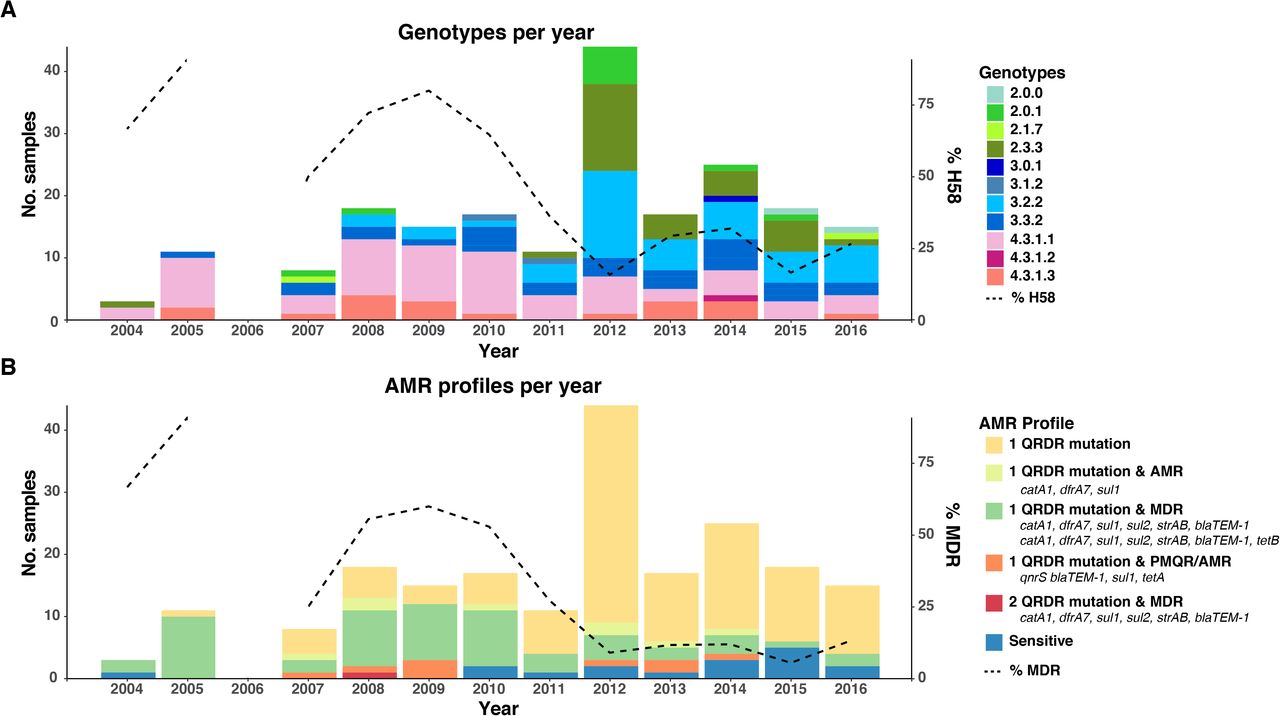 Timeline of Bangladesh S. Typhi genotypes and AMR profiles from 2004-2016.(A) Genotypes observed per annum. Overlaid line indicates the percentage of H58 isolates per year. (B) AMR profiles observed per annum. Overlaid line indicates the percentage of MDR isolates per year. Genotypes and AMR profiles coloured as per inset legend.