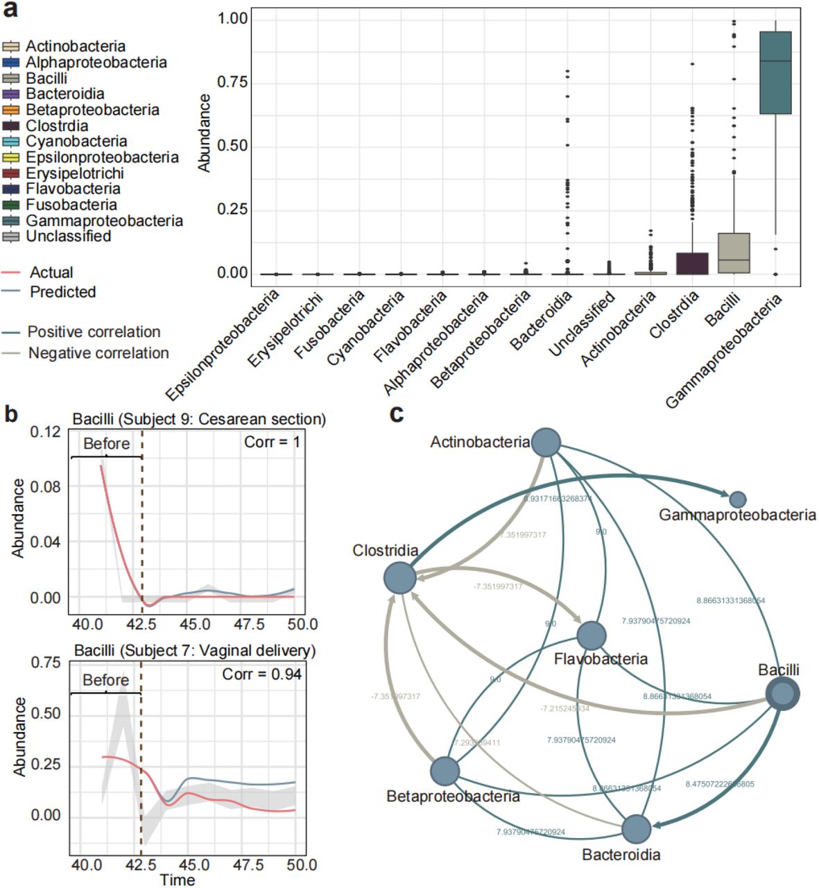 Personalized trajectories and microbial interactions in infant gut microbiome.(a) The abundance distribution of different microbial taxa in the infant gut microbiome. (b) Predicted microbial abundance trajectories for Bacilli in infants born via cesarean section and vaginal delivery. The red line represents actual microbial abundance, while the blue line represents predicted values. Pearson correlation coefficients are displayed for each trajectory. The x-axis represents time, and the y-axis represents microbial abundance values. (c) Microbial interaction network based on LSA. Light blue lines represent positive correlations, while light brown lines represent negative correlations between the bacterial groups. The values on the edges represent the correlation coefficients. he direction of the relationship is determined by the Kolmogorov-Smirnov test, with a p-value < 0.05 indicating the presence of a directed relationship. LSA, Local Similarity Analysis.