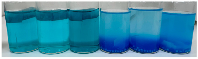 Capsule integrity after 2 h in different media. The three flasks on the left contain capsules in a pH 1.2 solution, where they remained intact with no pellet release. The three flasks on the right contain capsules in MilliQ water (pH 5.1), where they fully disintegrated, releasing the pellets, visible at the bottom.
